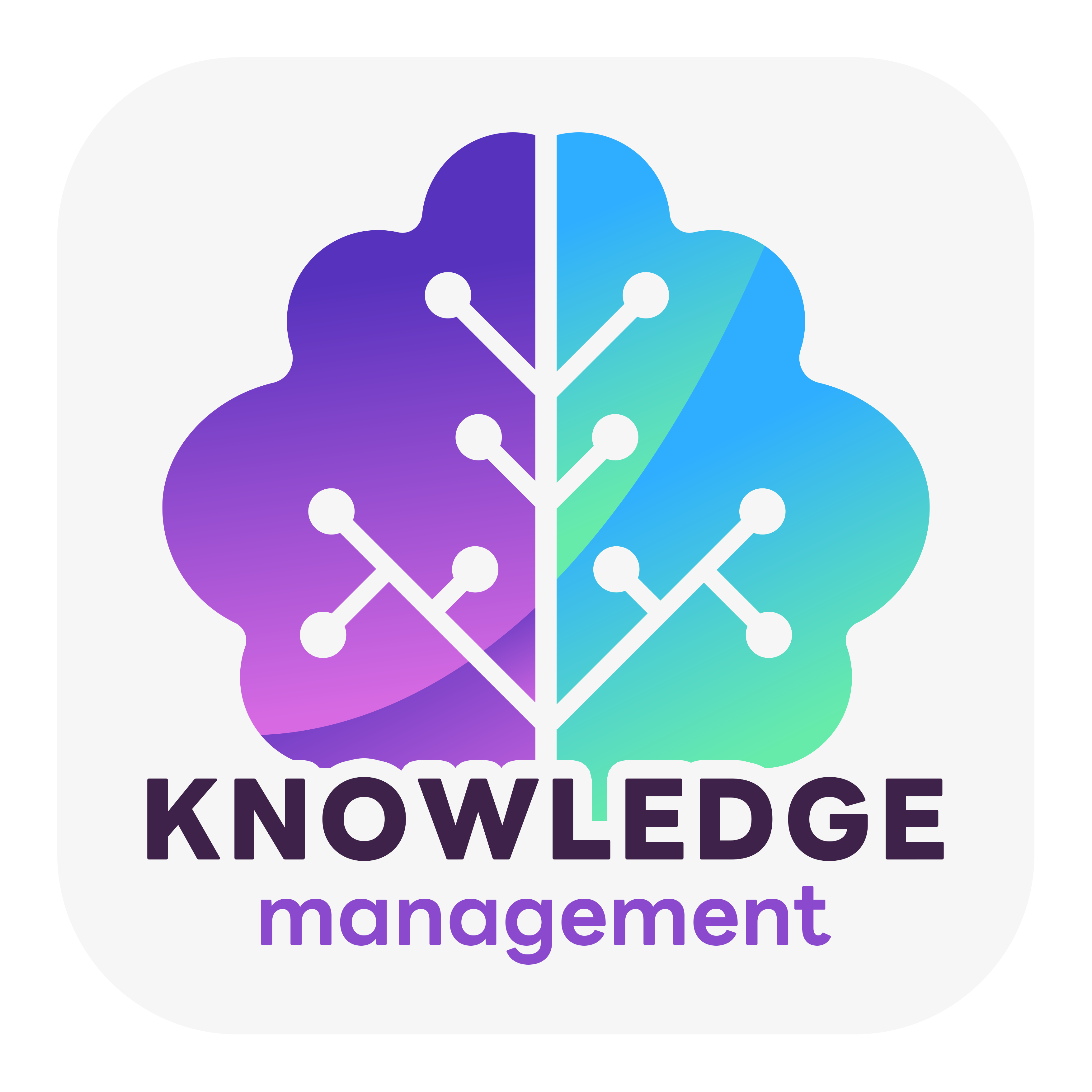 Knowledge Management